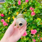 Mico Takstar PC K200 (2nd Gen) phiên bản mới